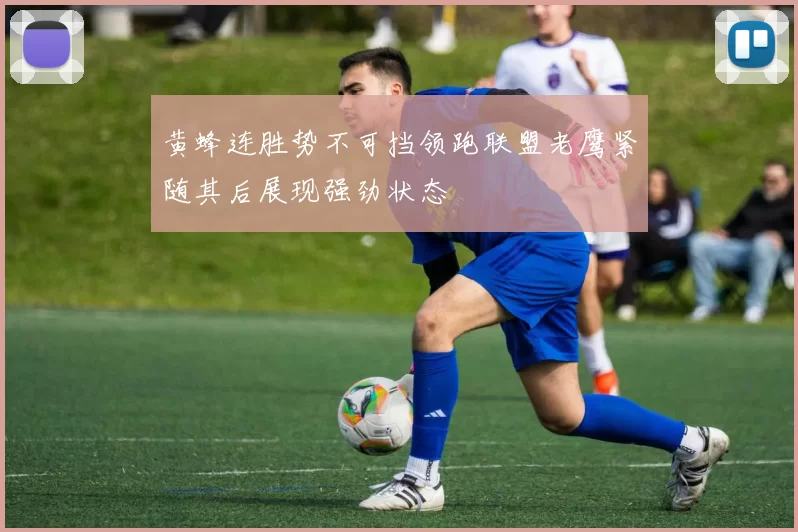 黄蜂连胜势不可挡领跑联盟老鹰紧随其后展现强劲状态