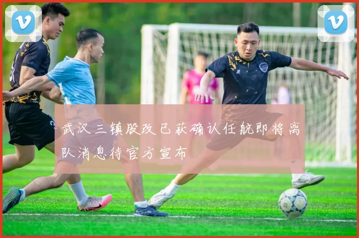 武汉三镇股改已获确认任航即将离队消息待官方宣布